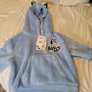 Bluey Hoodie